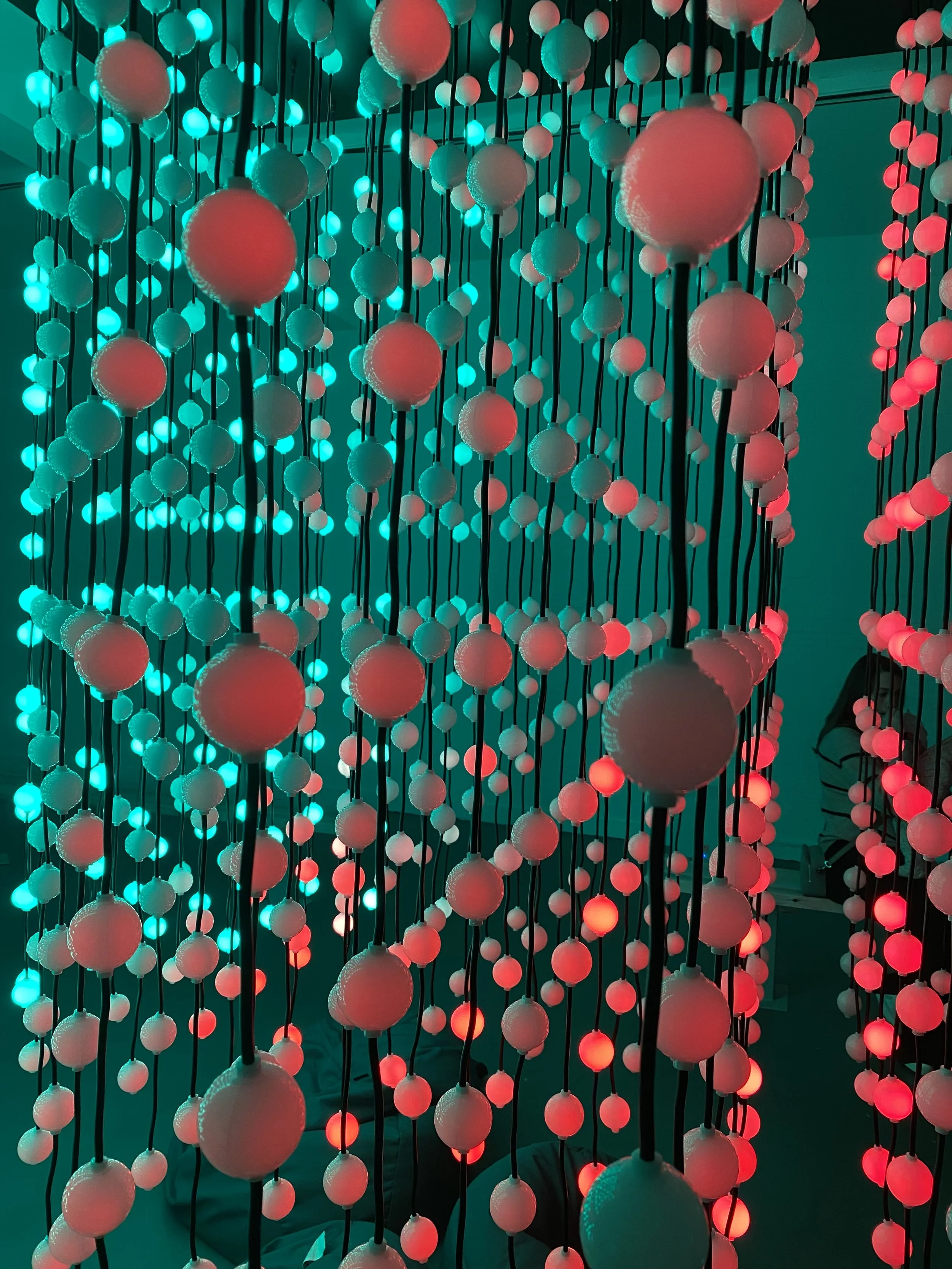 Spots.jpeg