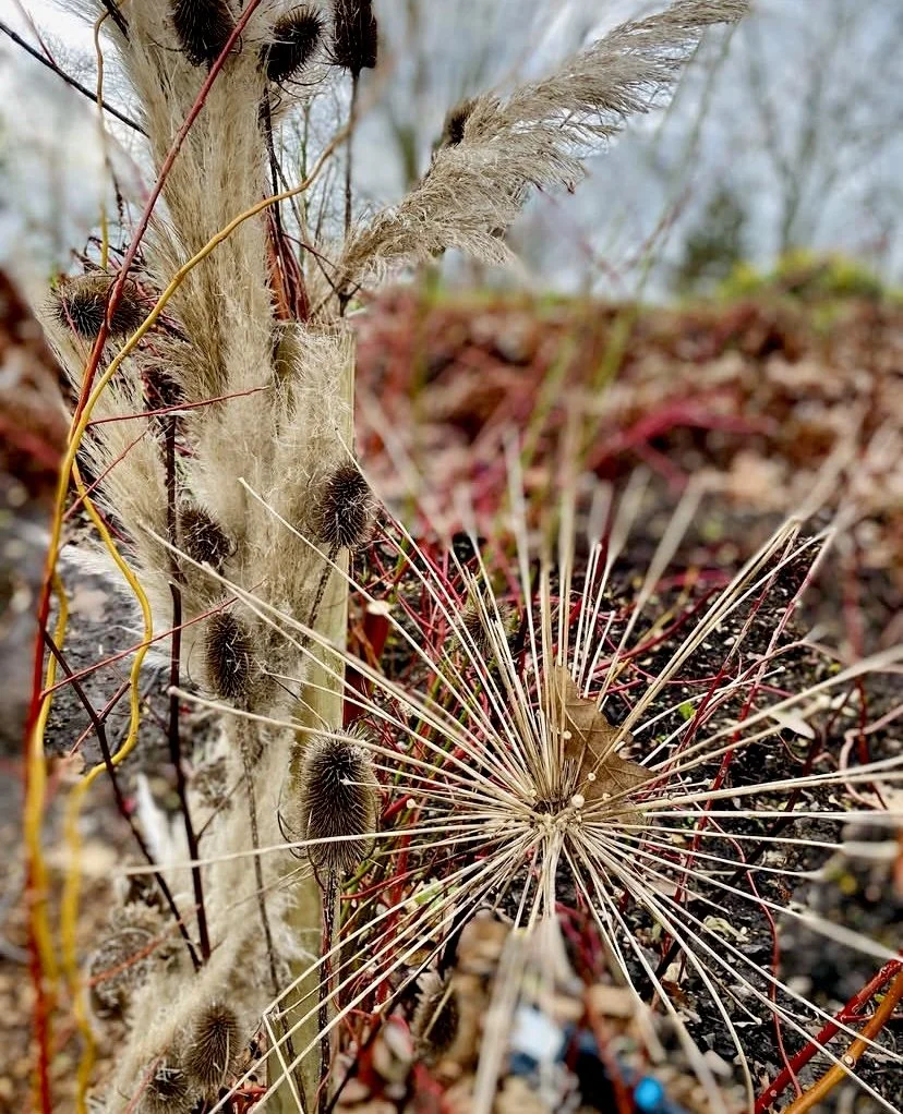 Twig.jpeg