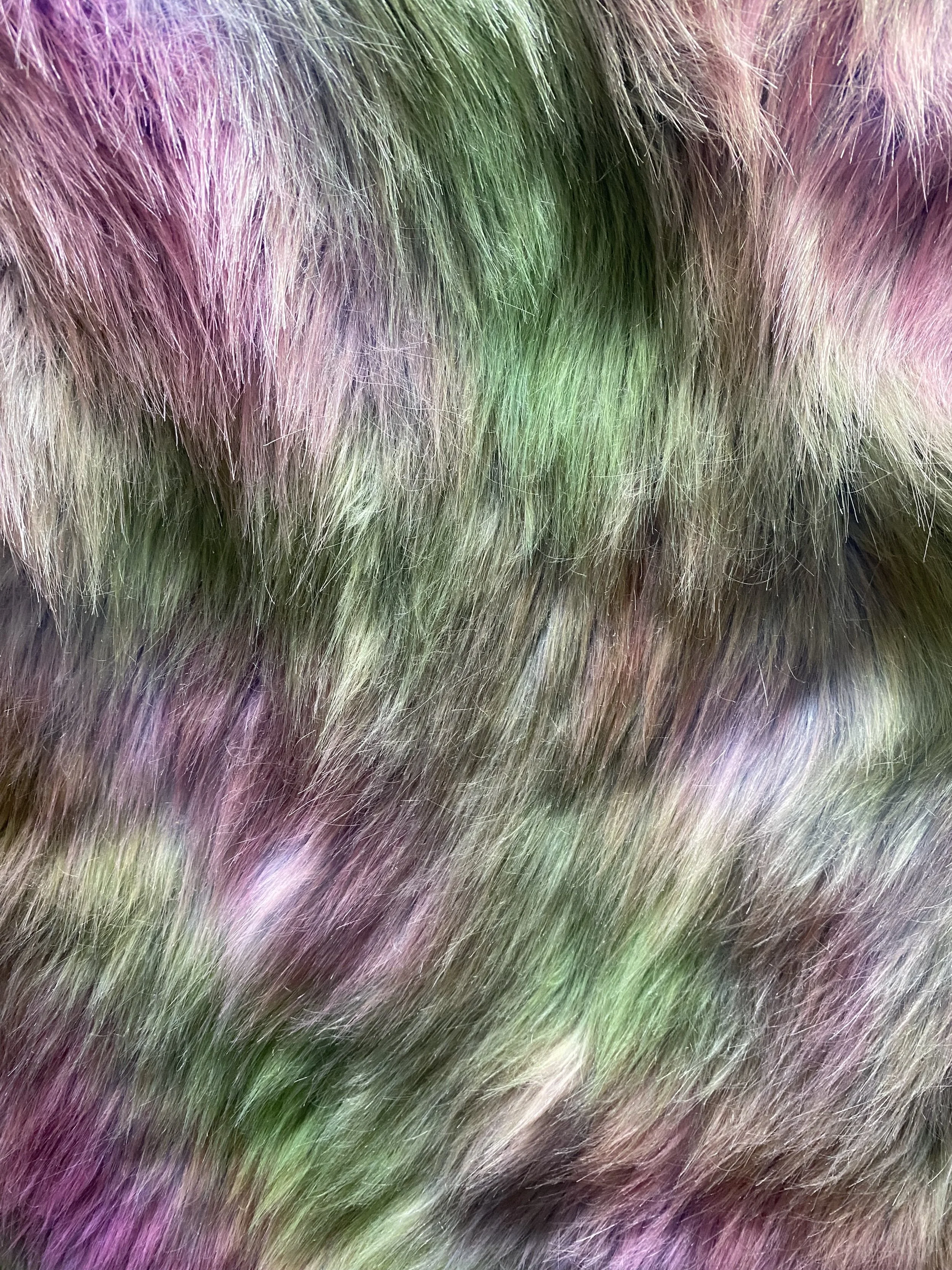 whizz.jpeg