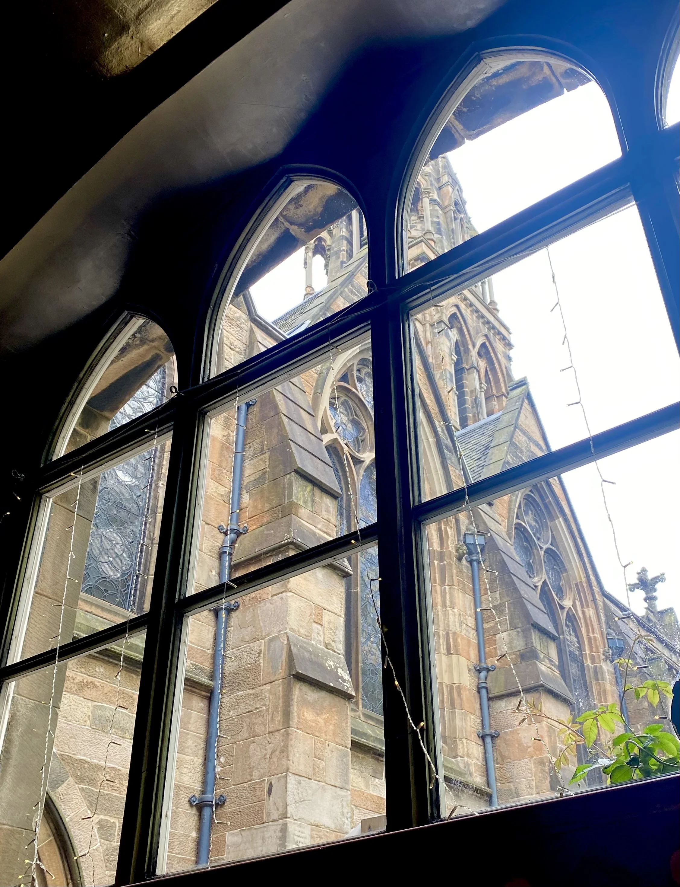 window.jpeg