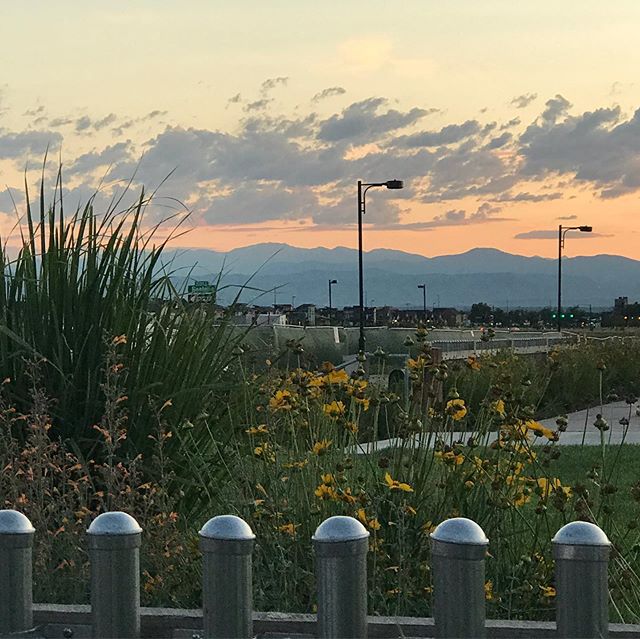 Evening strolls in Beeler Park are not too shabby. #thegreat80238 #beelerpark #stapletondenver #rockymountains #getoutside