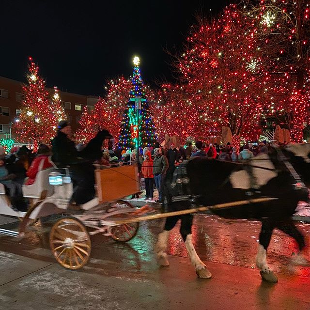 Stapleton Winter Welcome last night. Always a fun tradition. #thegreat80238 #stapletondenver #denvercolorado #lightingofthetree #christmasseason #teamreinvent