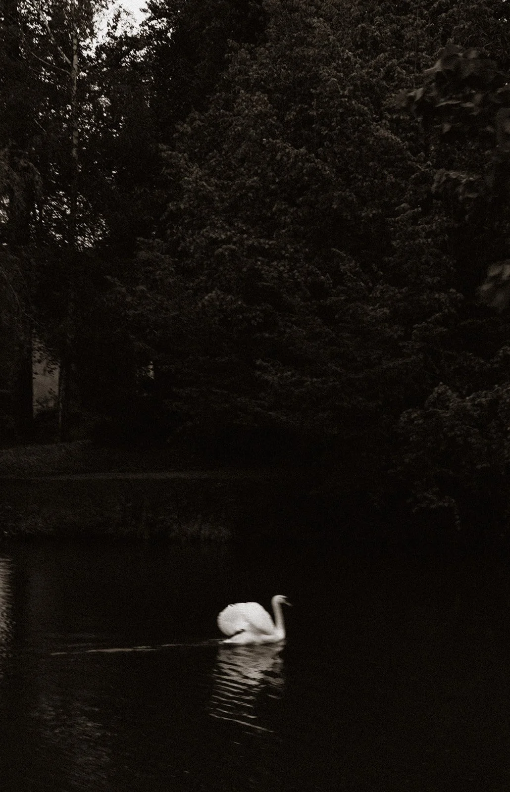 Bruno & Niveda 27.04.2024 B&W - _elinachantelweddings-143.jpg