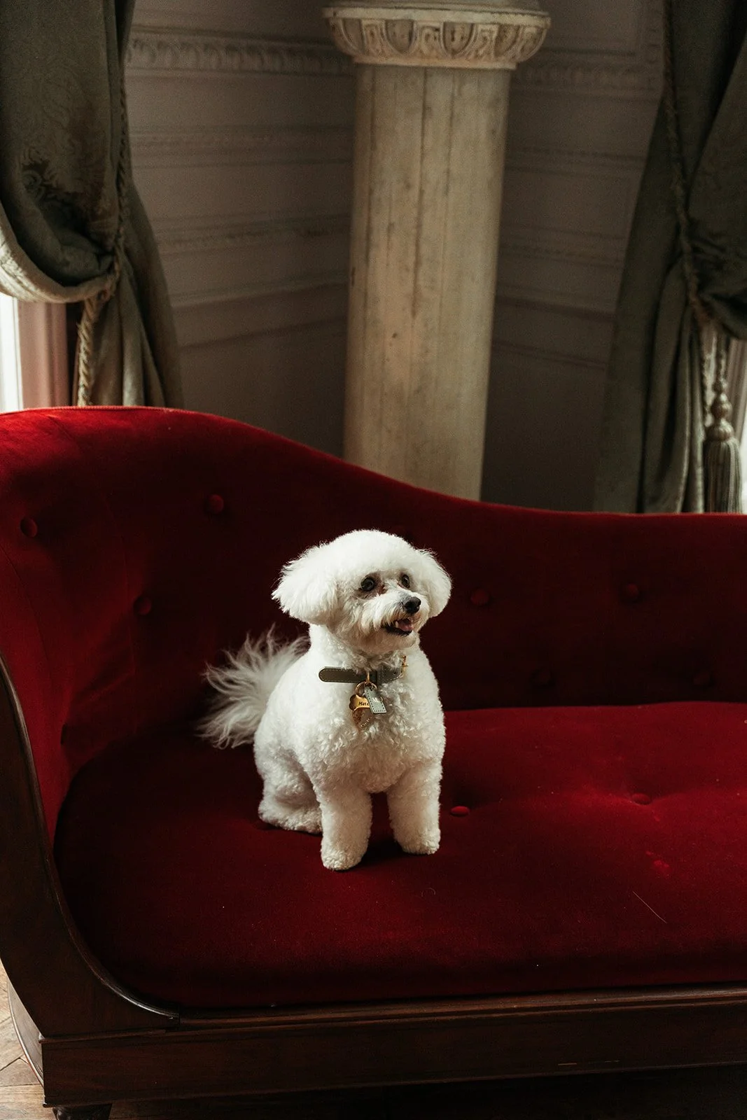 Florian & Brenda (château) - _elinachantelweddings-347.jpg