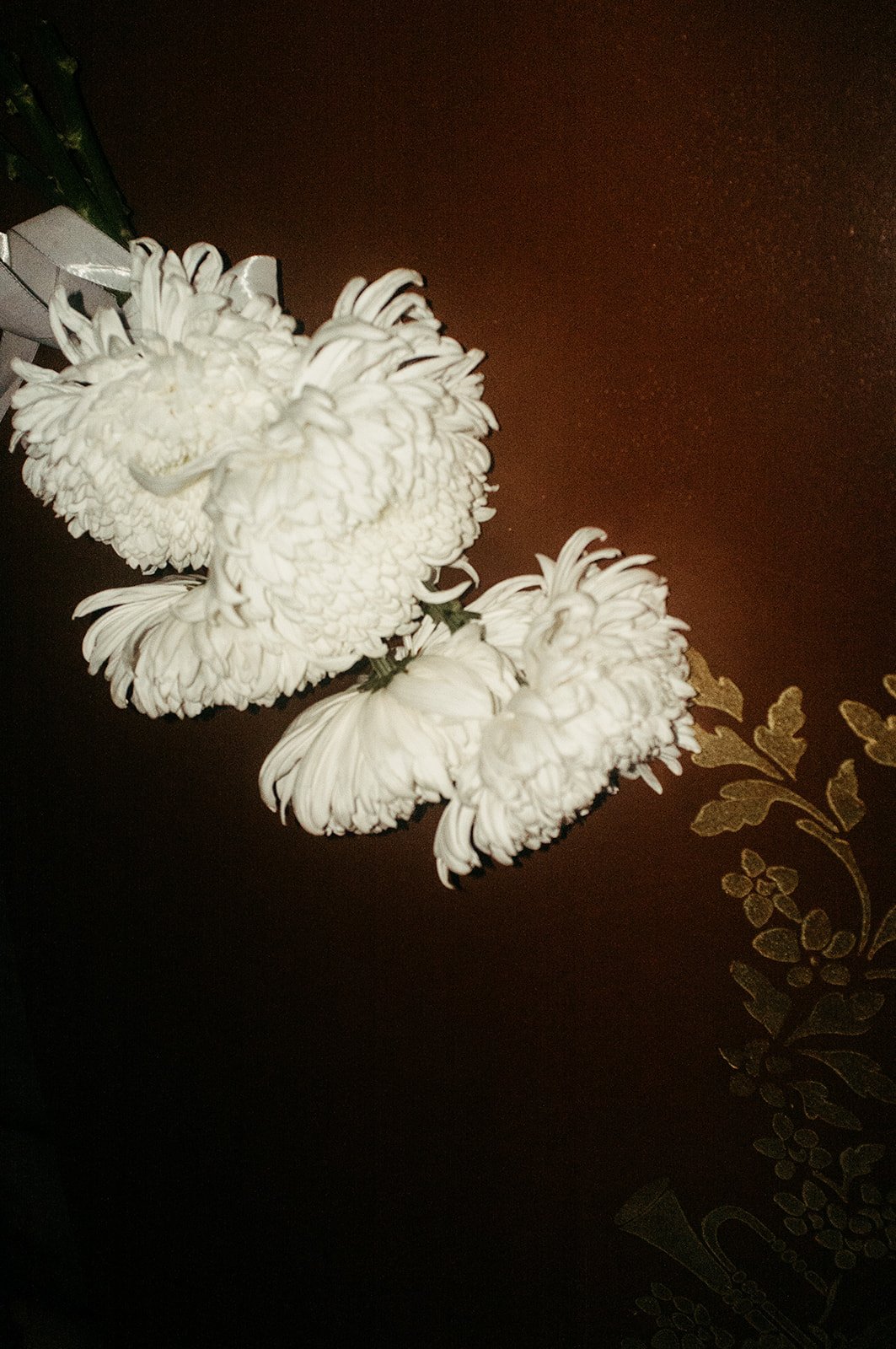 Ludmilla&Charles - d-day - _elinachantelweddings-0530.jpg