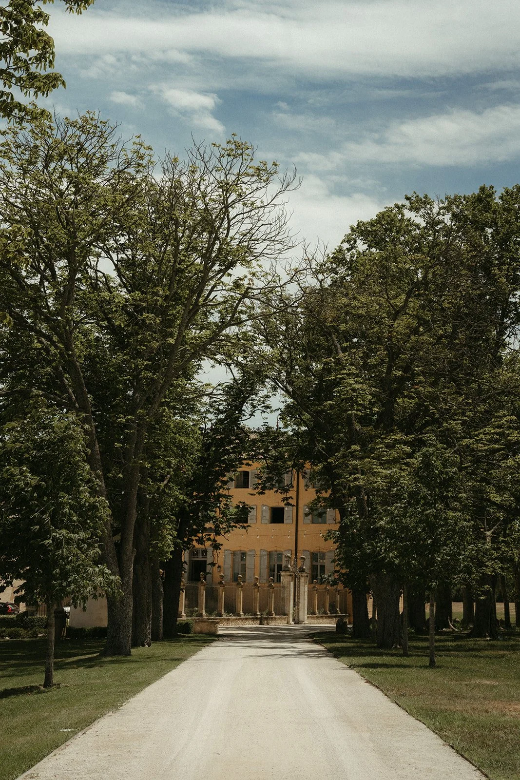 Madeleine & Romain - 22 Juin 2024 (_elinachantelweddings)-0198.jpg