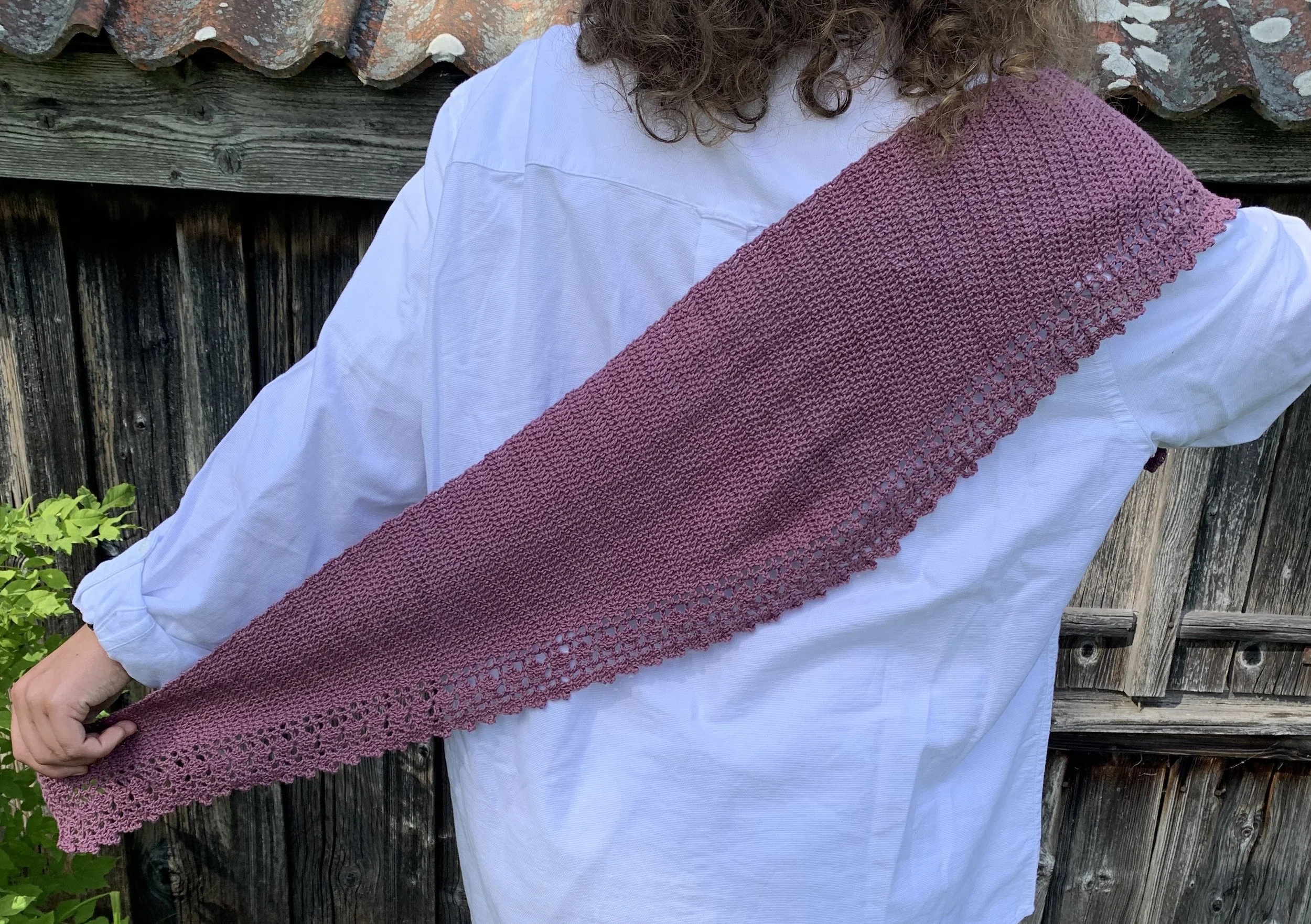 IMG_2529 Cropped.JPG