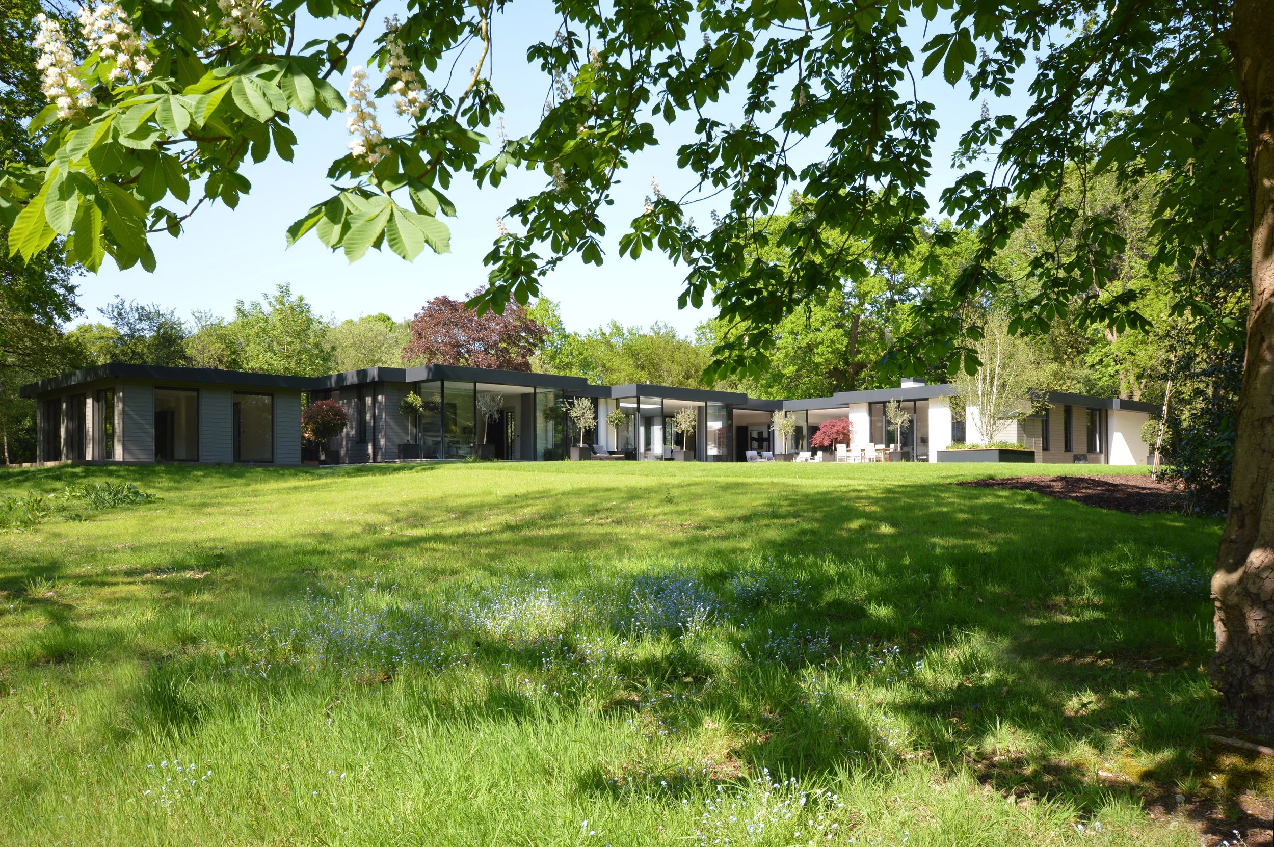 Rear view through trees.jpg