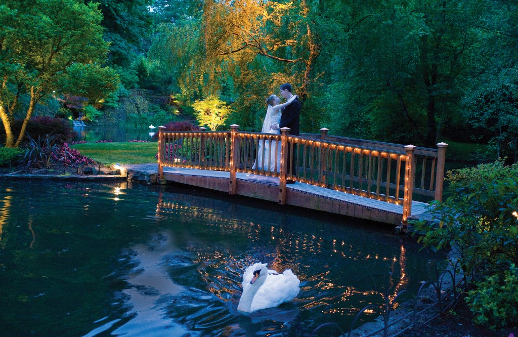 robert-crum-sm-bridge-with-swan--1024x666.jpg