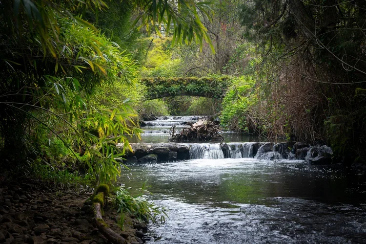 A small waterfall flowing under a moss-covered stone bridge in a lush green forest.