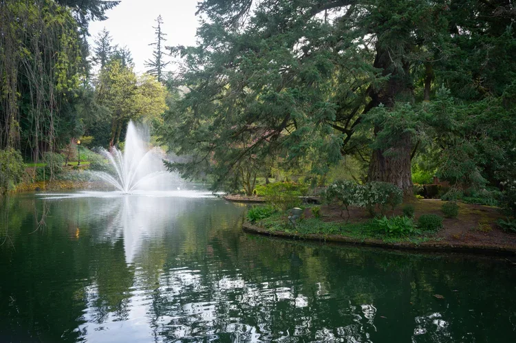 A serene park scene with a pond reflecting the trees and a fountain spraying water in the middle. Tall green trees surround the pond, and a lamppost is visible on the left side.