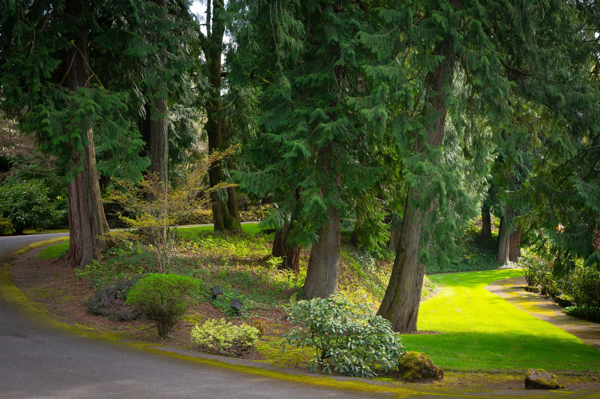 Our secluded walking path leads to a hidden stone staircase and charming stone bridge, offering a picturesque setting for unforgettable moments and photos. - Credit to @Remembrancephotopdx