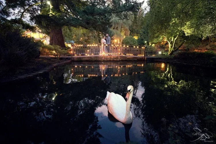 A couple stands on a small illuminated wooden bridge over a pond, with trees and lights in the background. A swan swims in the pond in the foreground.