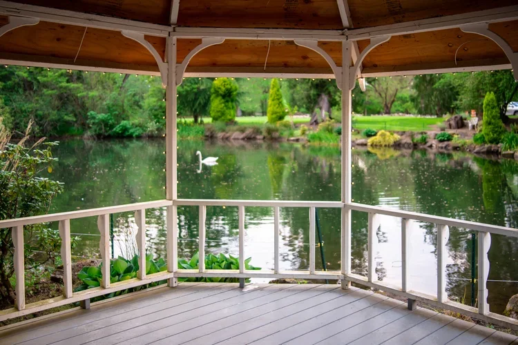 View of a pond with a swan, seen from a white gazebo with string lights, lush green trees and bushes in the background.