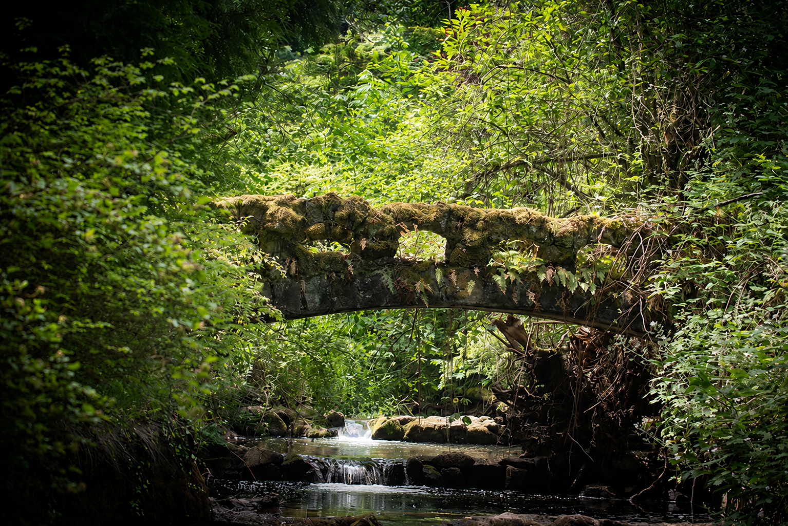 Hidden away, a moss-covered stone bridge over a woodland creek