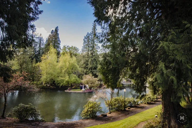 A park scene with a pond surrounded by trees and foliage. In the background, a group of people stands on a small island in the pond, with a bridge and pathway visible near the water. Tall pine trees and flowering trees line the area, creating a peace