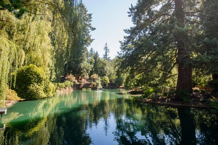 A peaceful river surrounded by lush green trees with some branches overhanging the water, under a clear blue sky.
