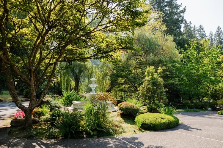 A lush green garden with a white fountain in the center, surrounded by various trees and plants, under a sunny sky.