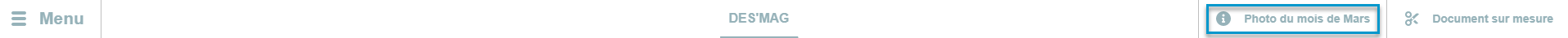 Bouton.png