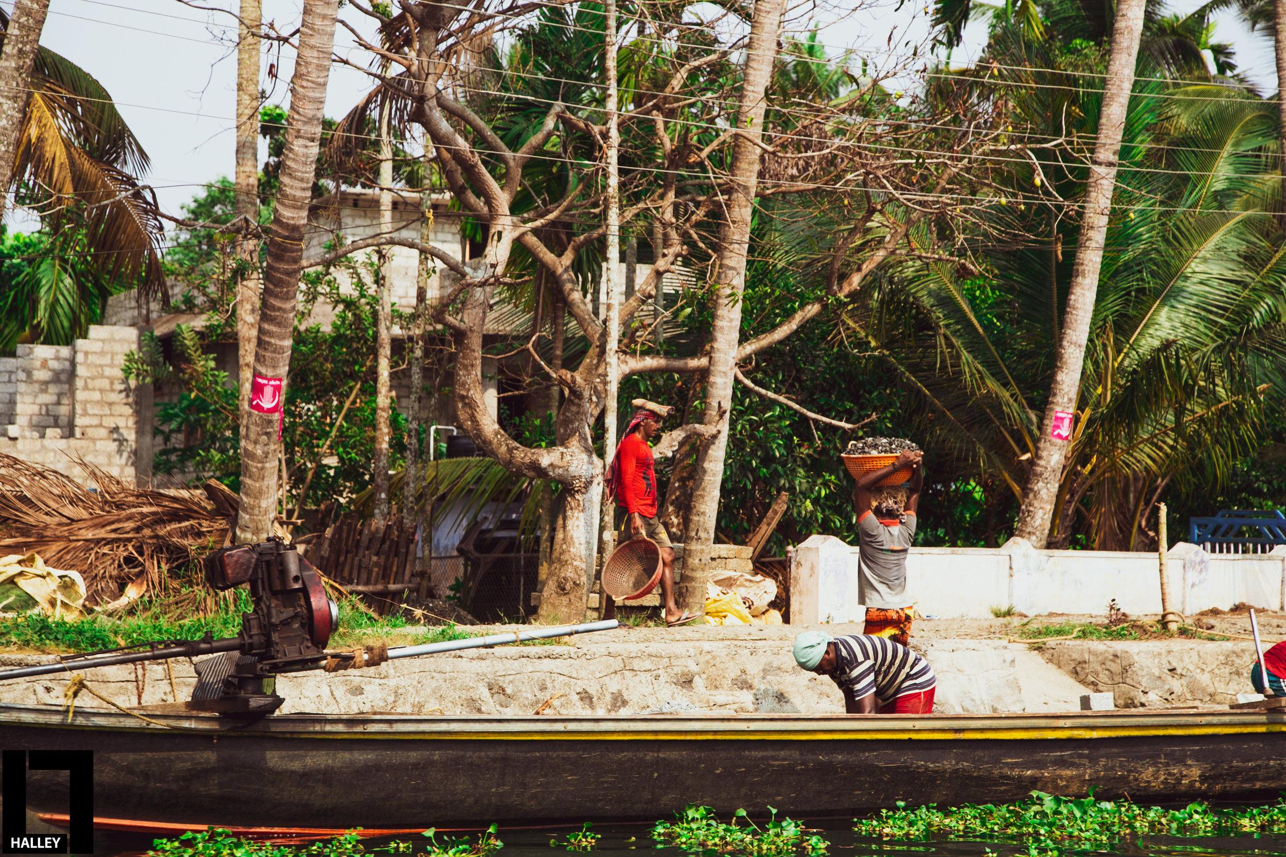 Rebuilding After The Floods