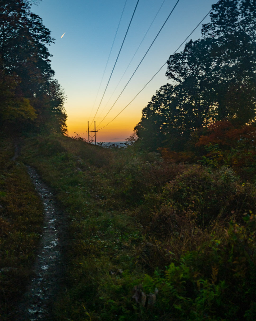 DSC04817.jpg