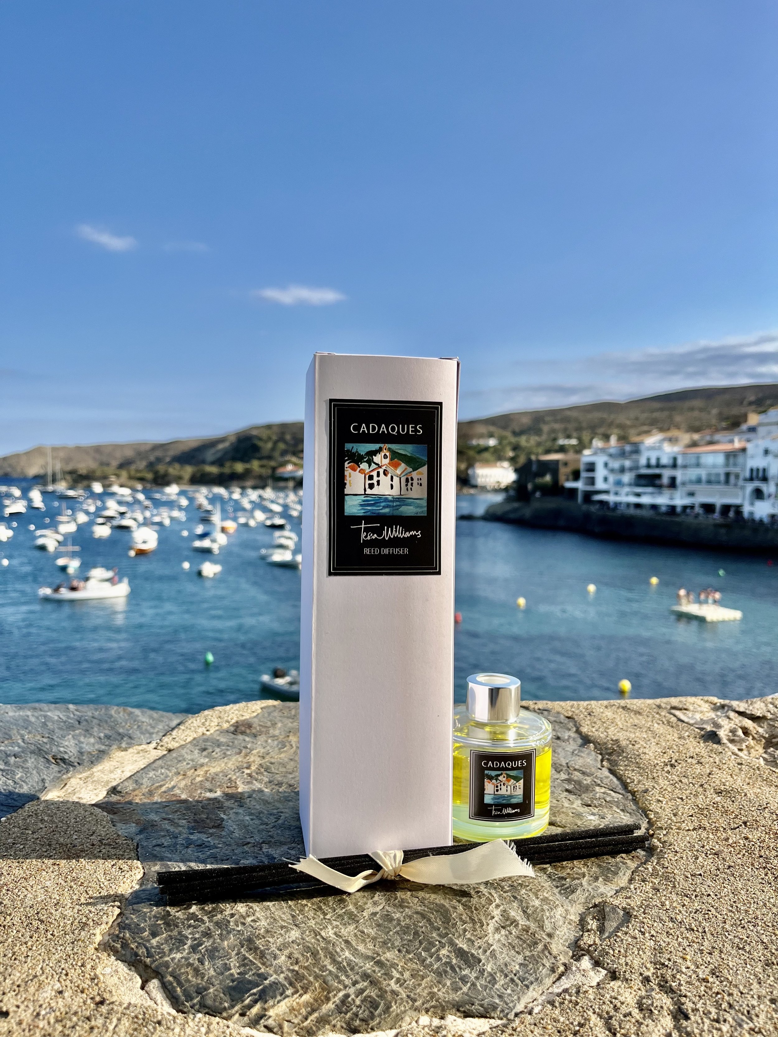 CDQ SEA view diffuser.jpg