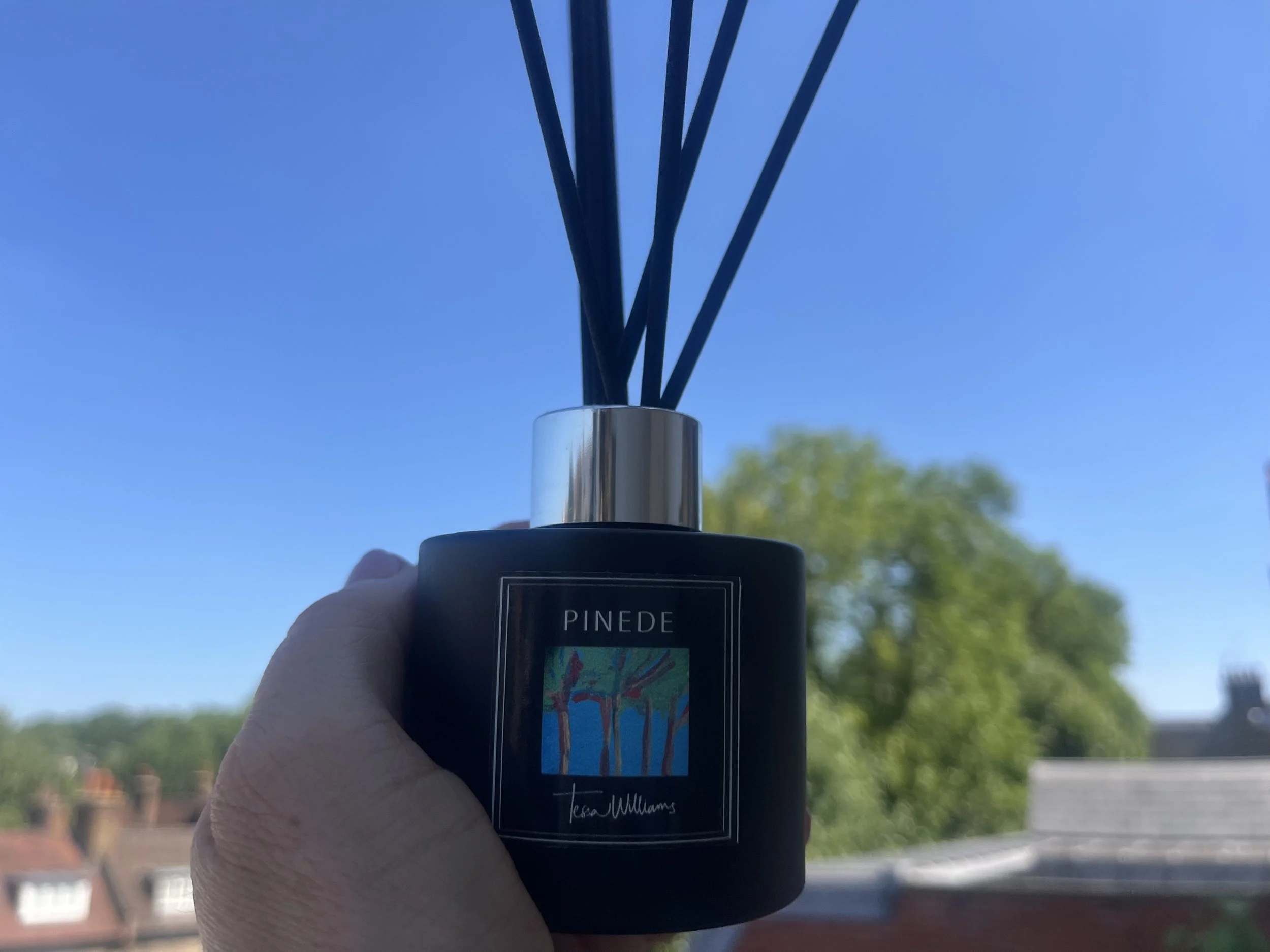PINEDE blue sky london.jpg