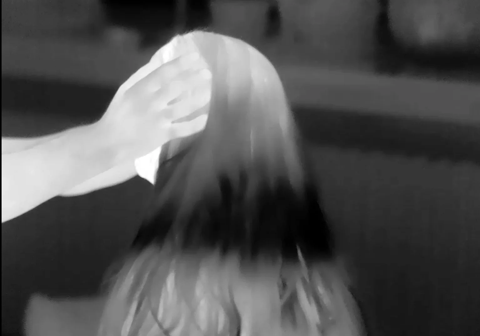 08.jpg