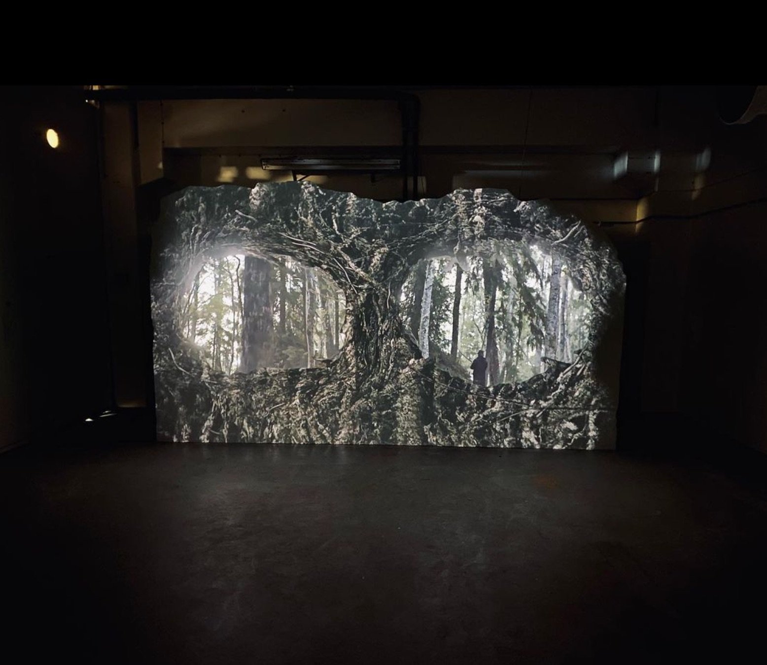  Installation view of  Second nature , video projection.  