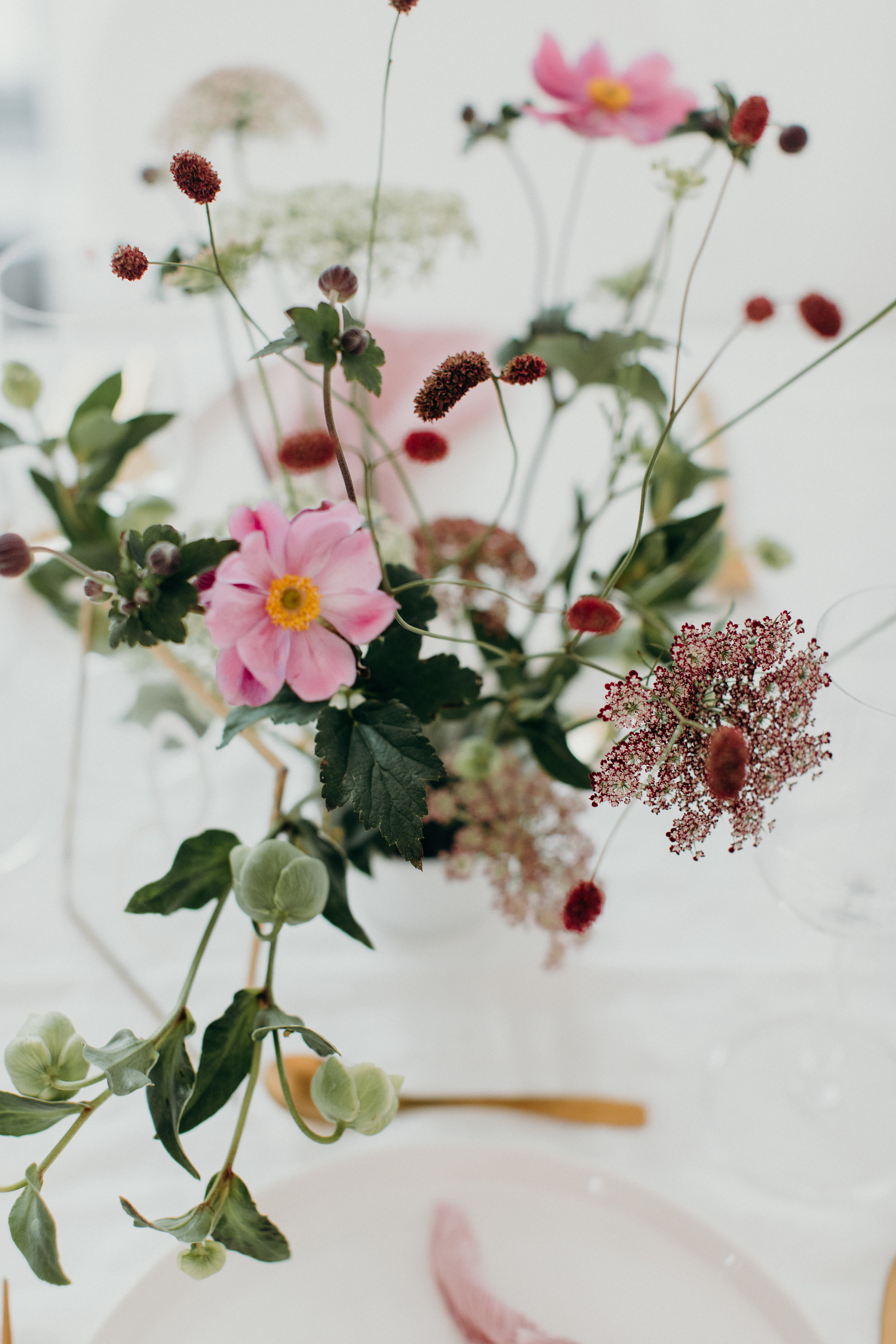 20180815immerdinner-60.jpg