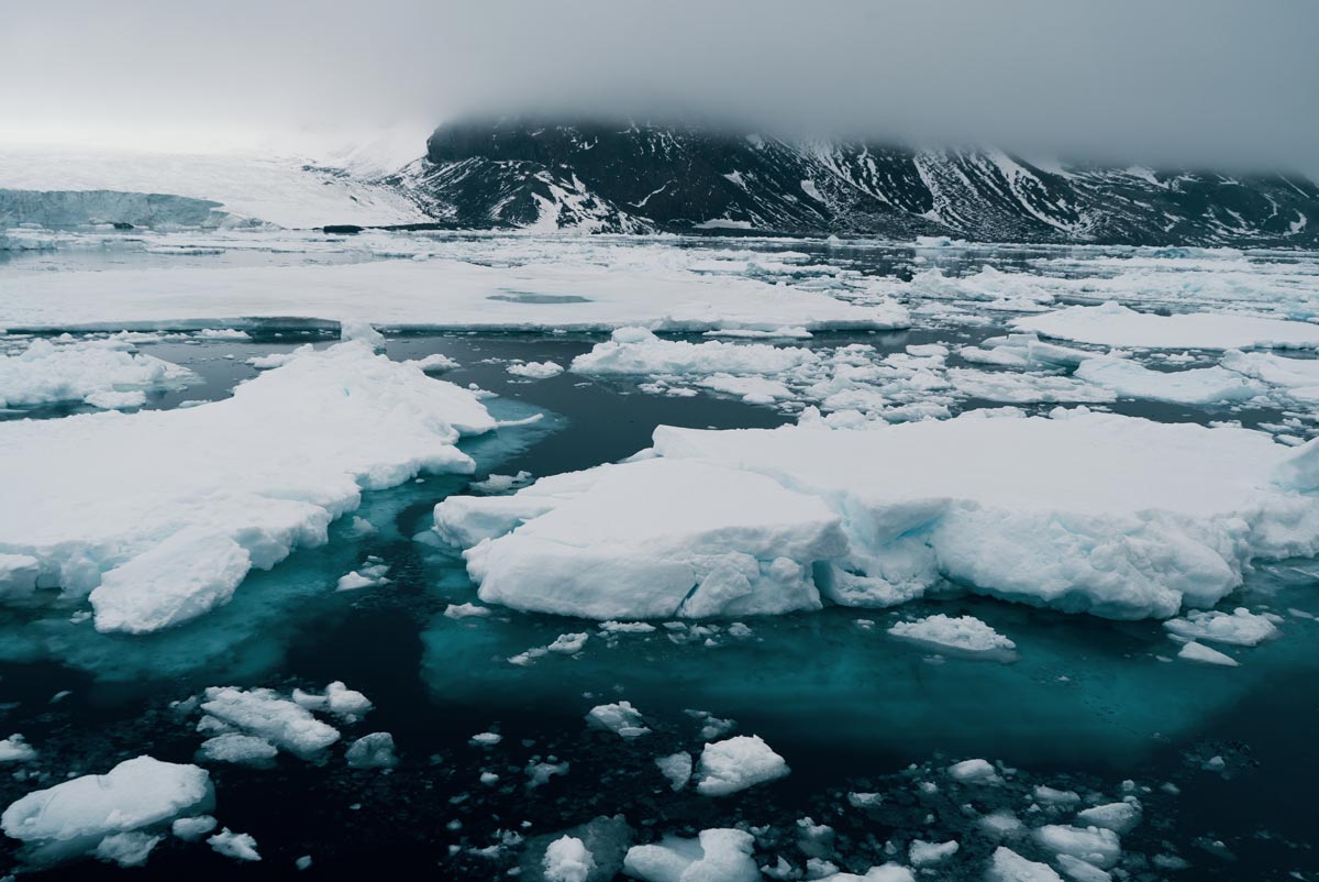 antarctica-tours.jpg