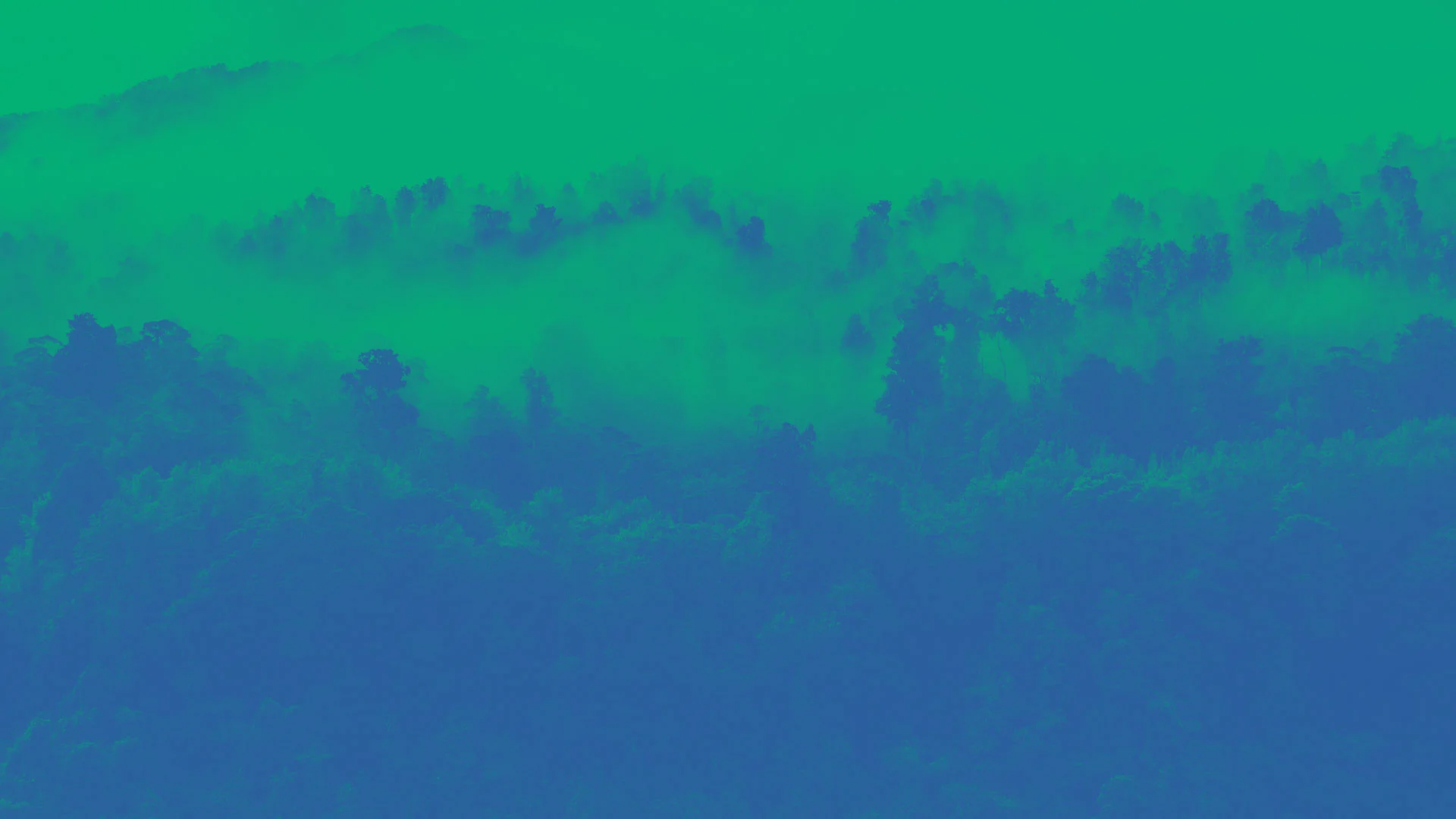 Image-overlay-header-nature-01.jpg