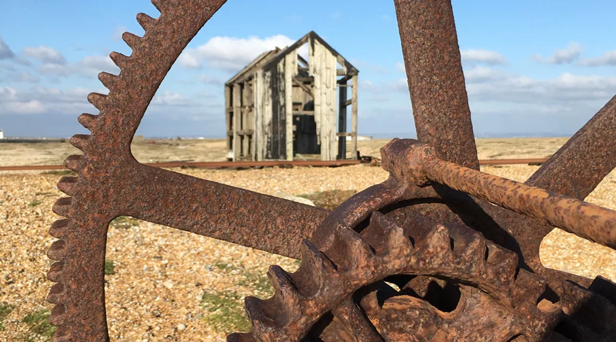 IP Options and Adaptations