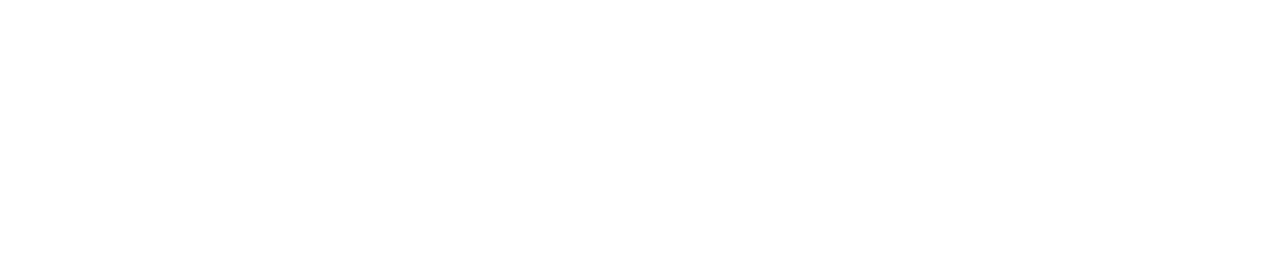 About Sb Insight