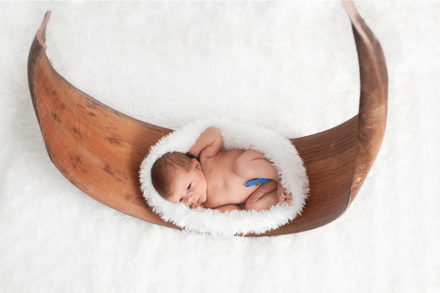 Baby nests everything you need to know — Get Get Got