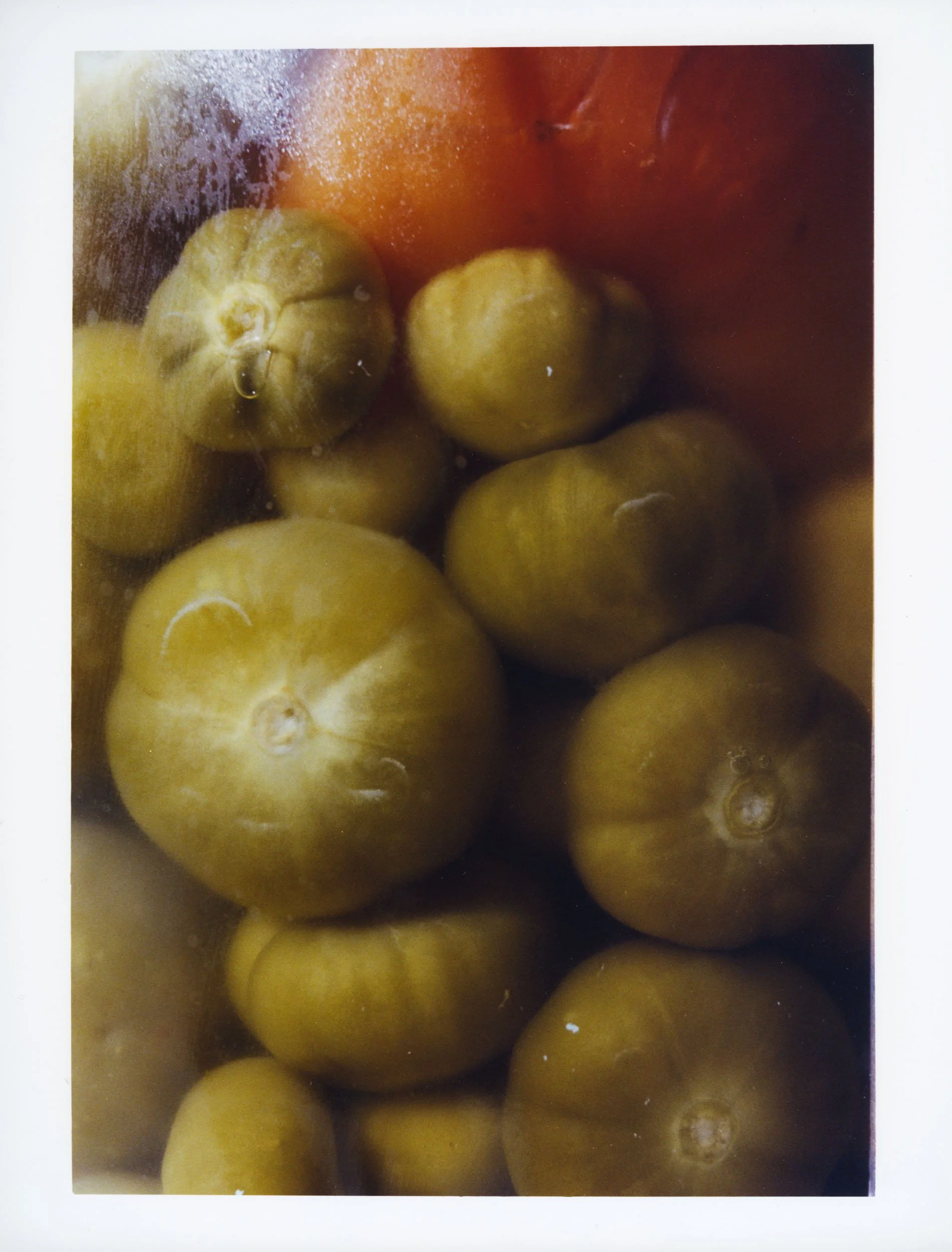 PrintSale_B_009_TomatoPreserve1-10.jpg