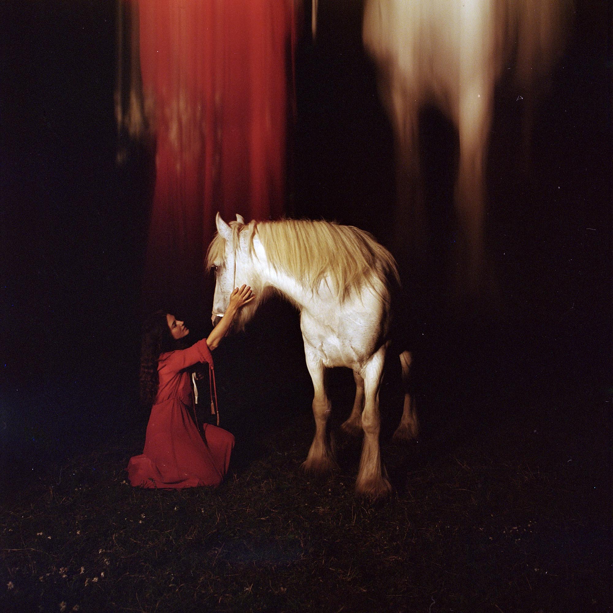 Phoebe Coco : White Horse