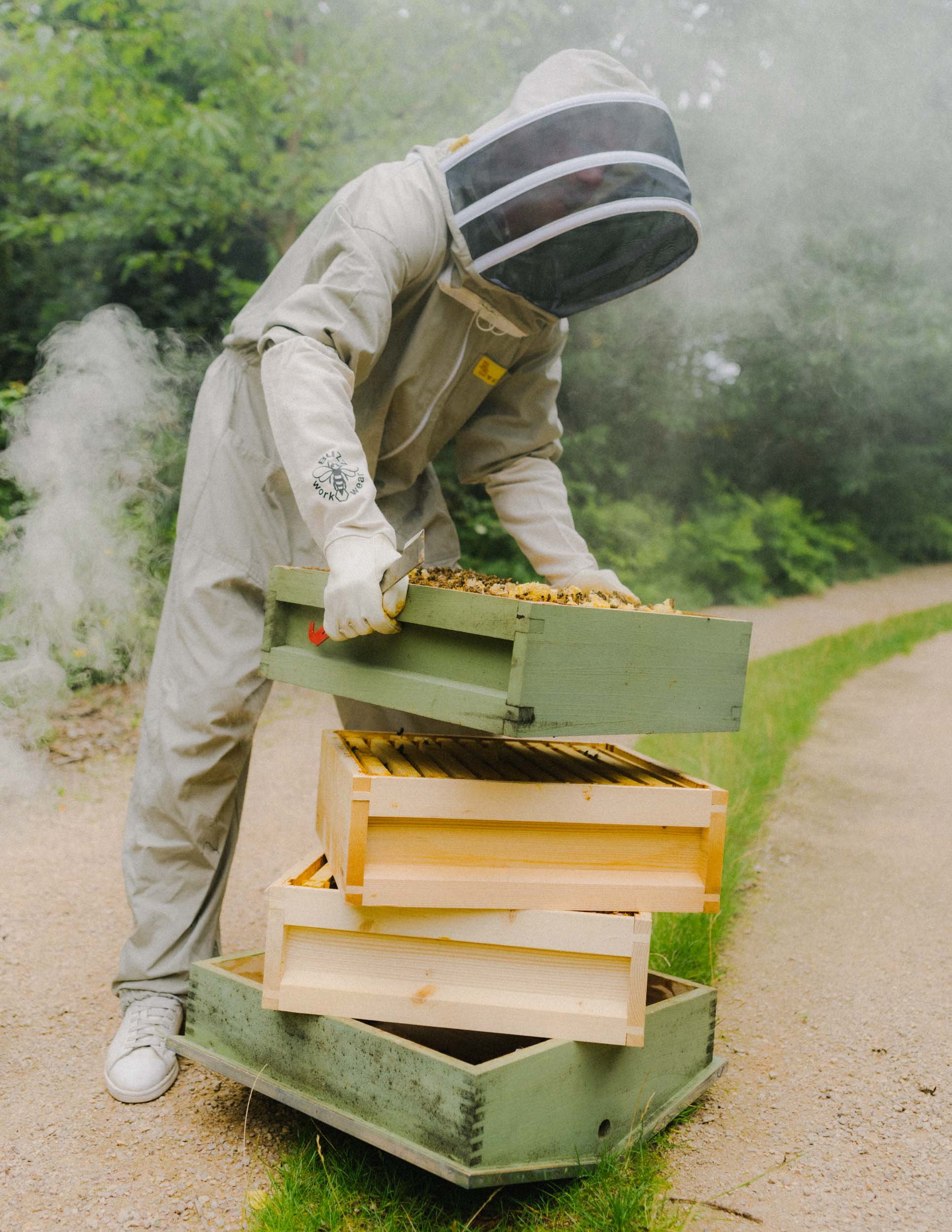 Logan - Innercity Beekeeping