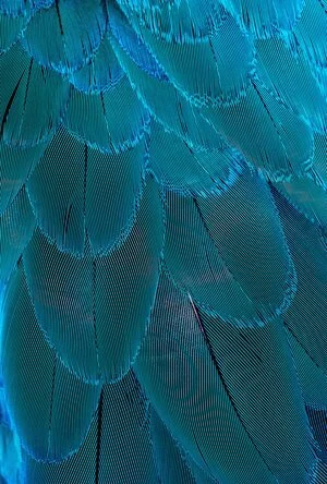 créativité, concentration