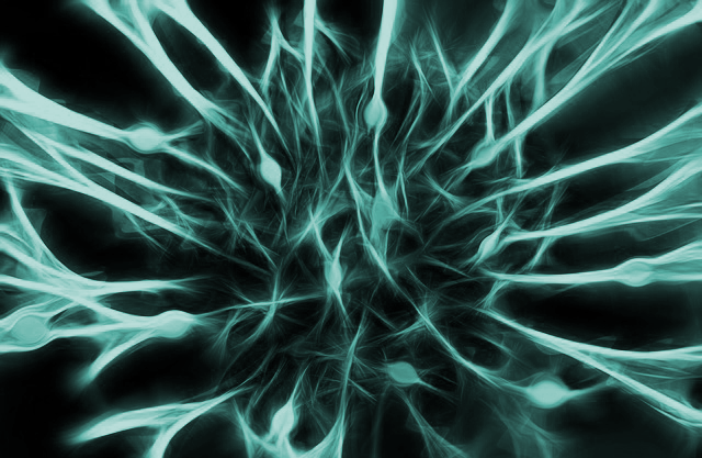optimized-energized-banner.png