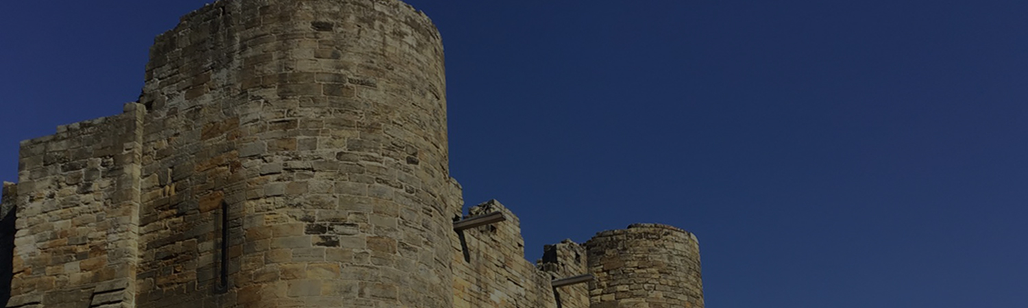 banner1111.jpg