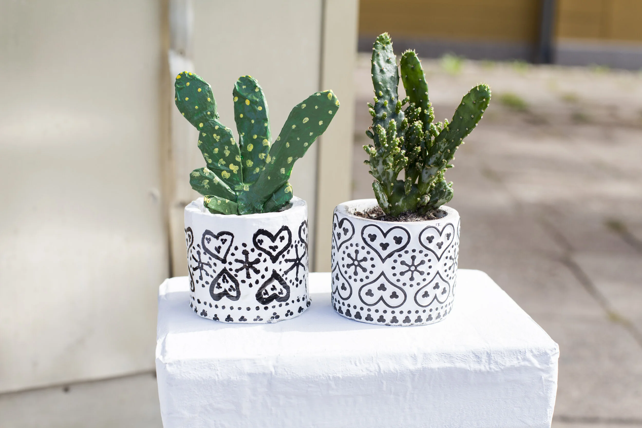 05_AshaLester_Asha'sPlace_ 08.06.19_PhotographyCarlosSantos-NathaliaAzuero.jpg