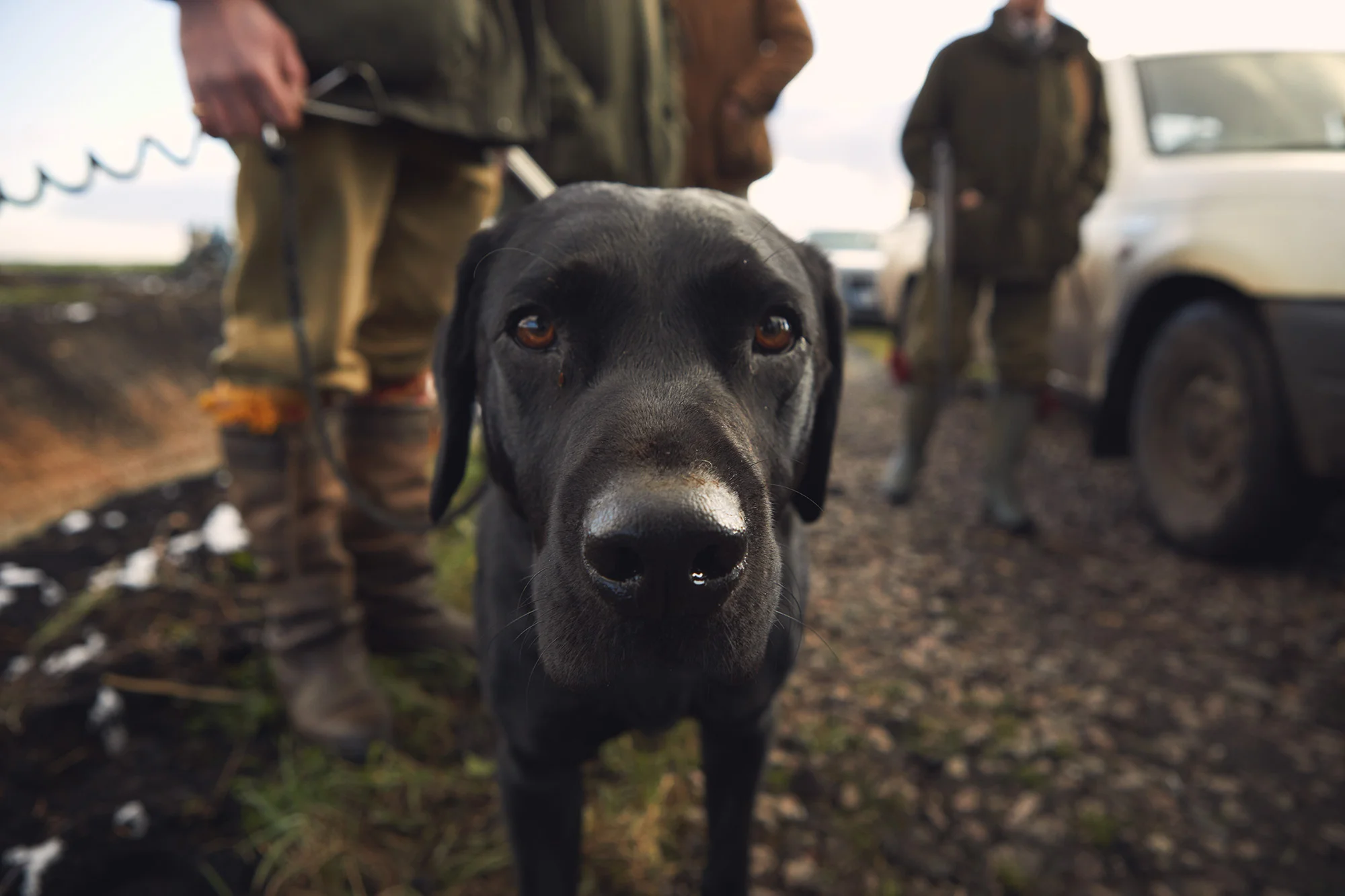 UK-Fens-Game-Shoot-07.jpg