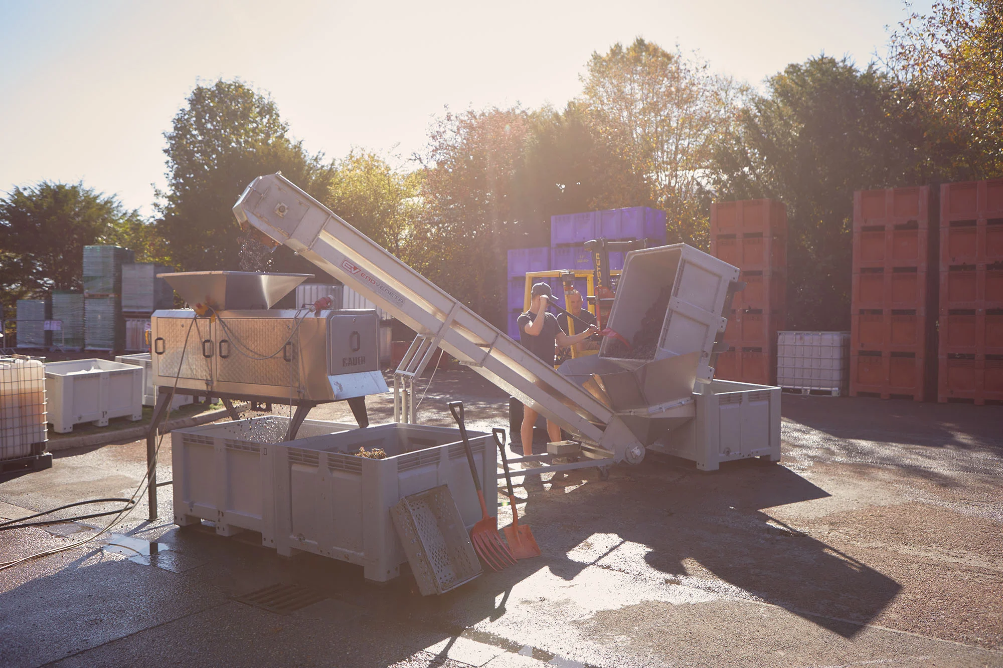 Denbies Grape Pressing - Oct '18