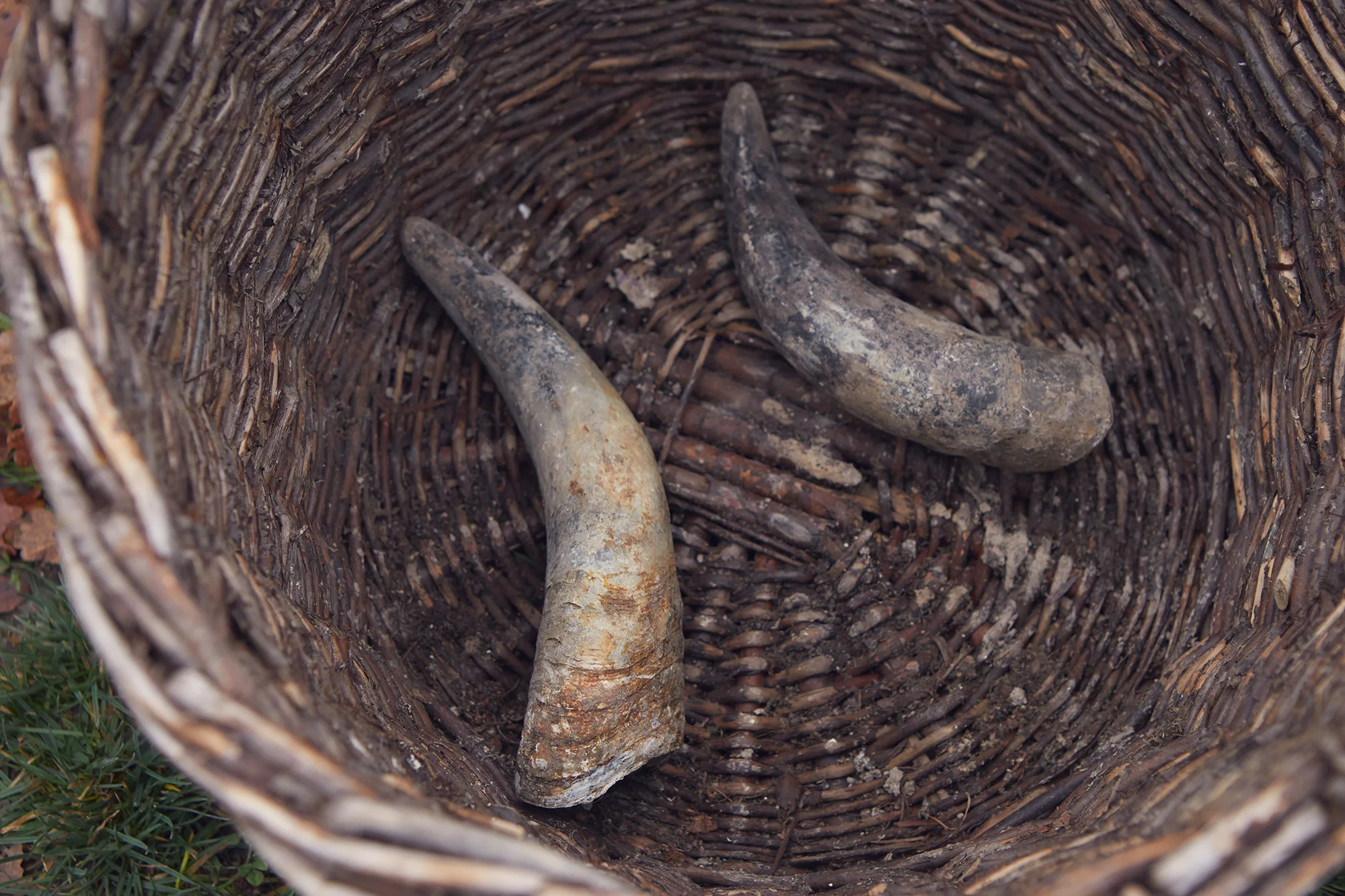 Cow Horns Burial - Nov '18