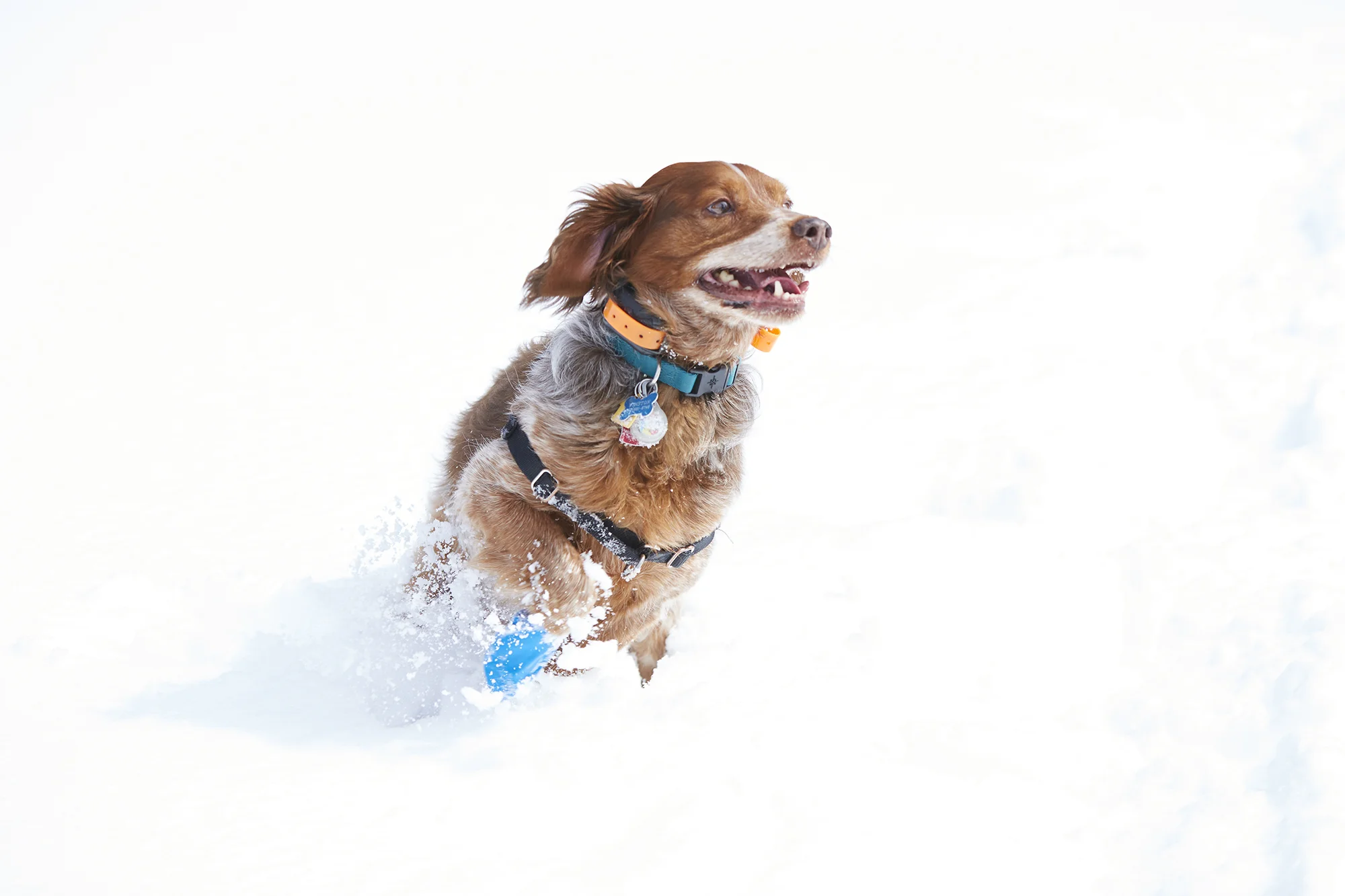 US-Colorado-Steamboat-Springs-13.jpg