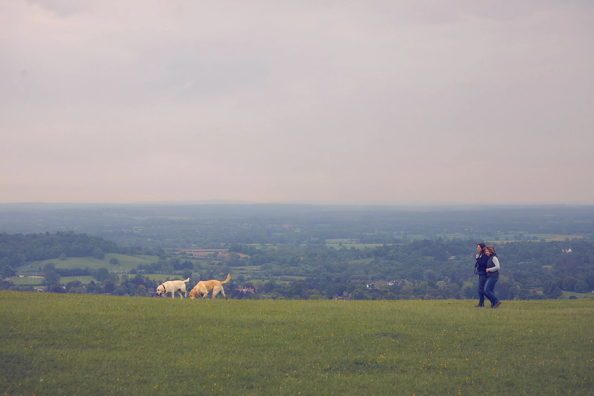 Reigate Hill - Surrey
