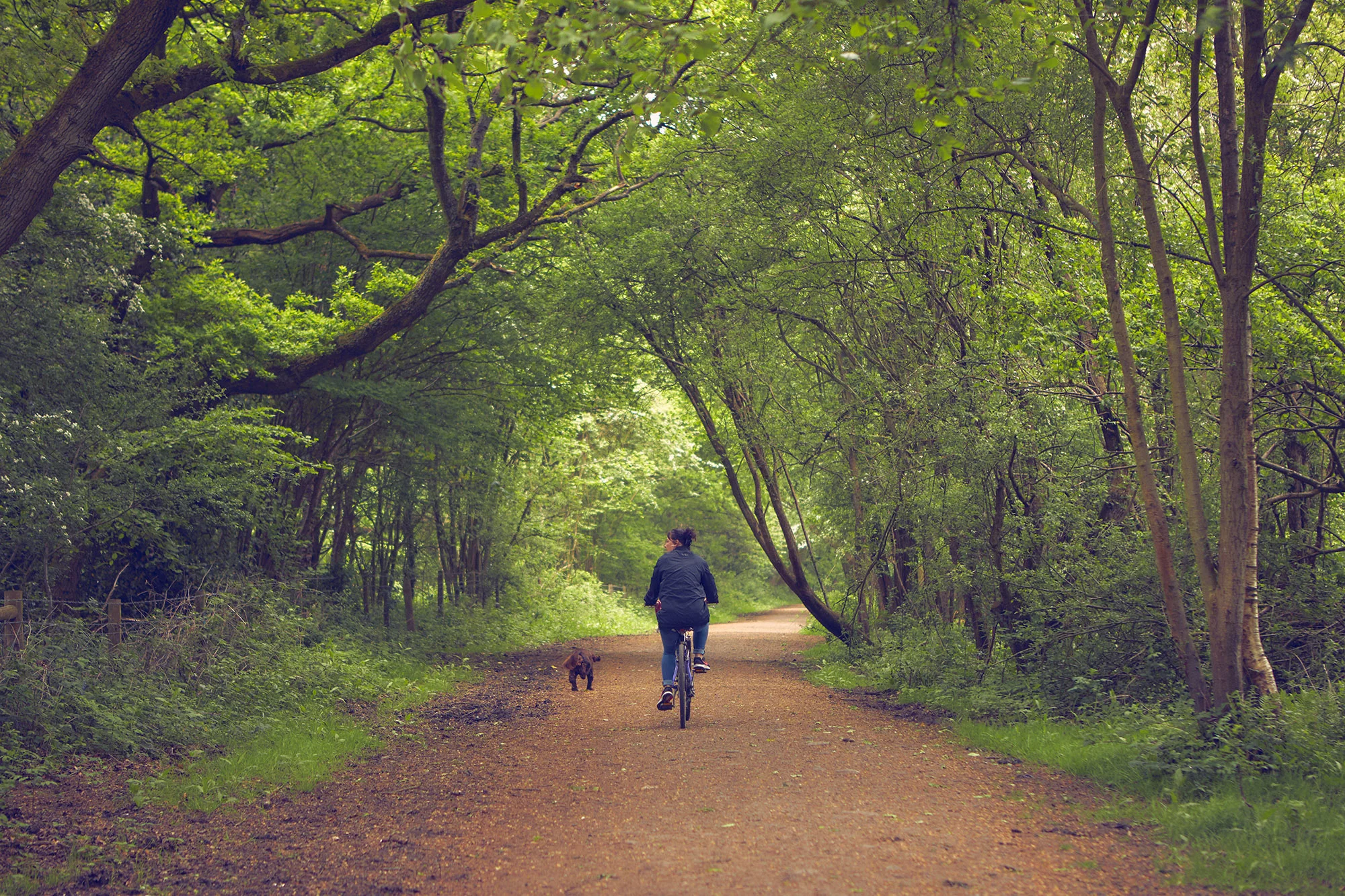 Reigate Hill - Surrey