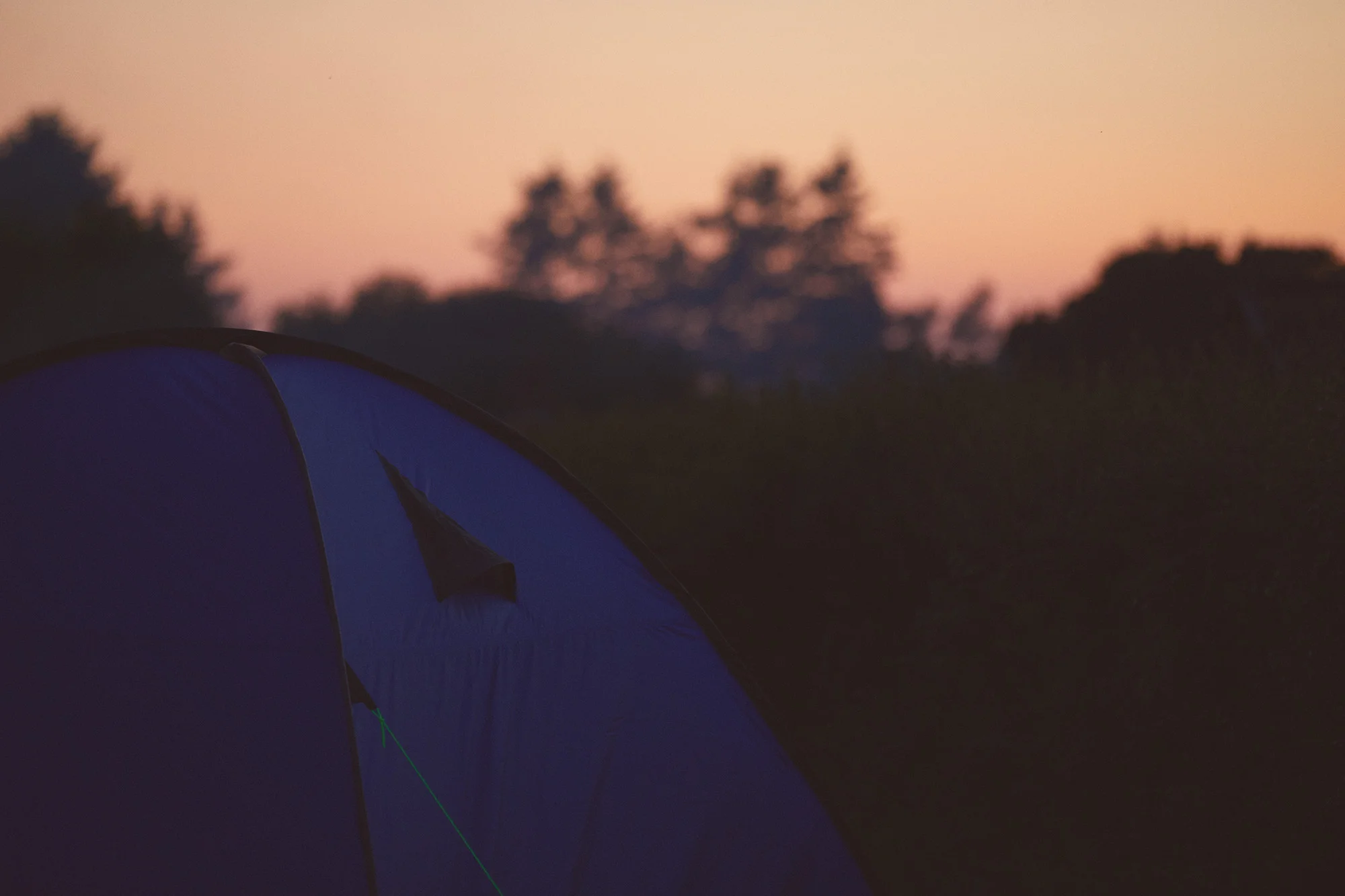 Harry's Field Campsite - New Forest