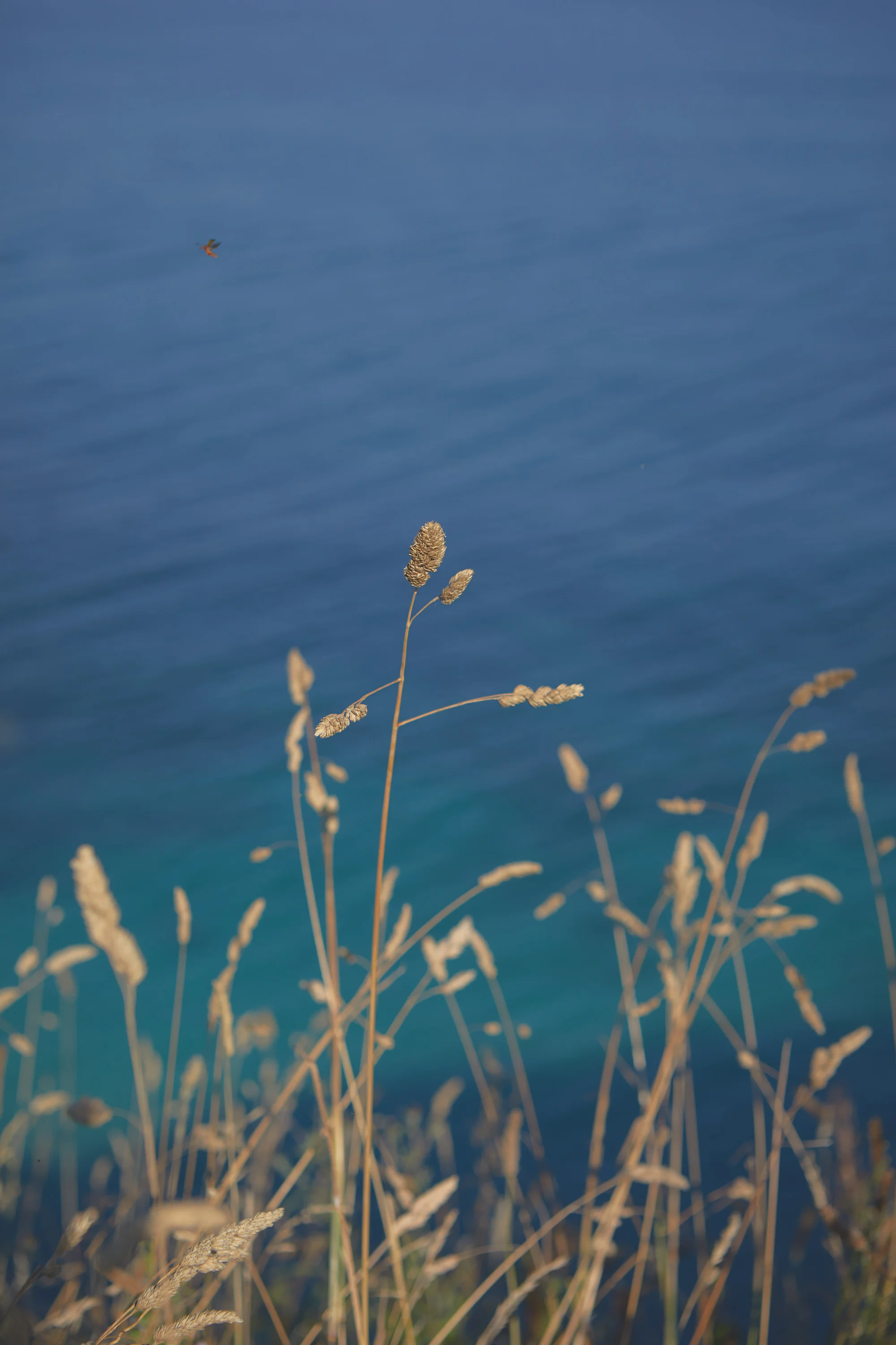 Portscatho to St Mawes - Cornwall